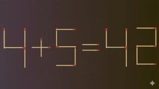 Apenas os inteligentes conseguem resolver esse desafio em 3 segundos