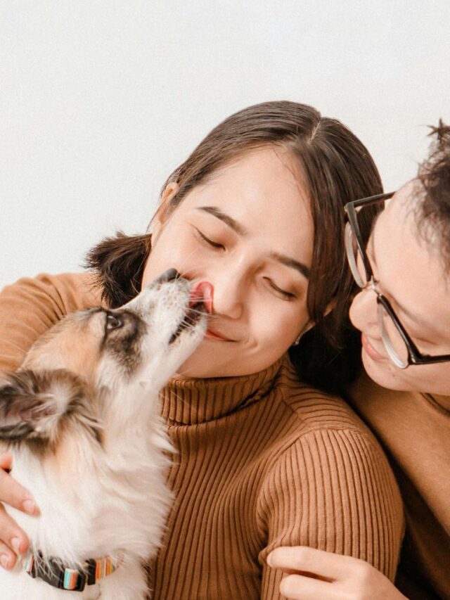 O que significa falar com os pets como se fossem humanos, segundo a psicologia