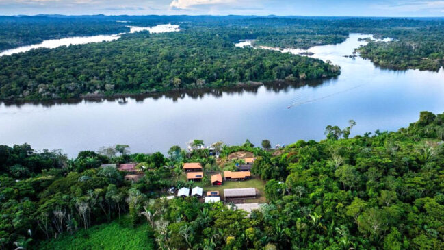 TFF combina recursos públicos e privados para financiar a conservação ambiental