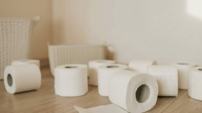 Descubra o Washlet, o vaso sanitário inteligente que usa jatos de água para uma limpeza superior e ajuda a preservar o meio ambiente.