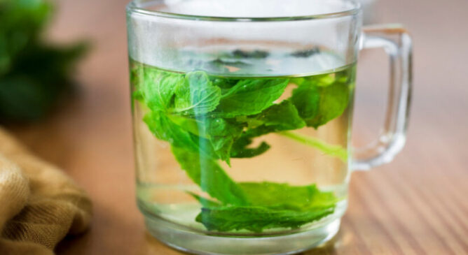 Planta tropical popular tem ação calmante e digestiva; veja como fazer o chá e as precauções.