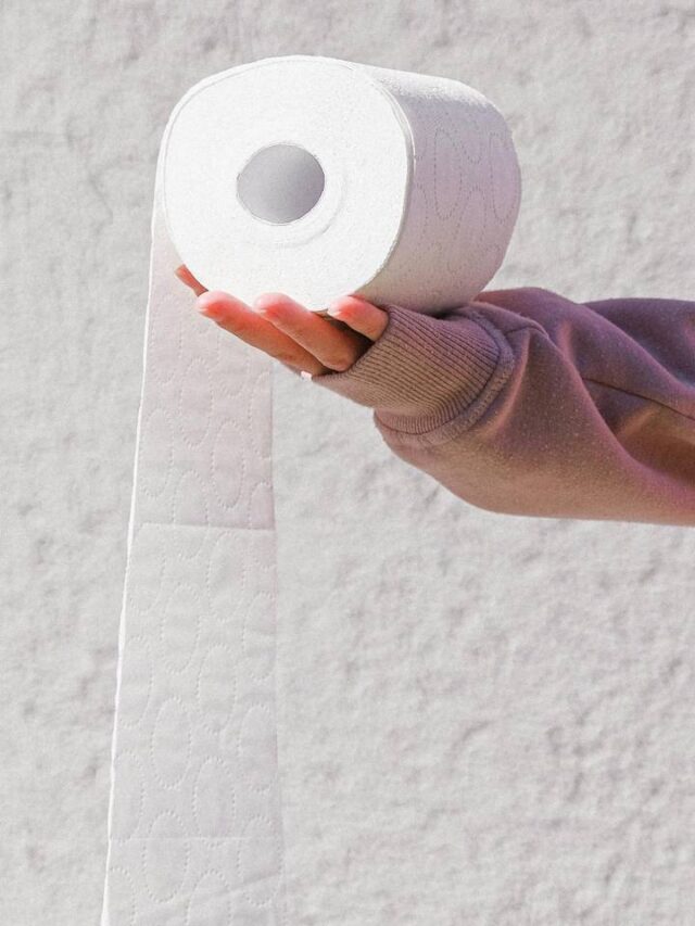 Diga adeus ao papel higiênico: seu substituto chegou