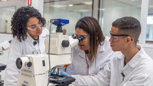 Oportunidades são para jovens com formação técnica de 14 a 21 anos
