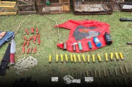 Durante a operação, equipes encontraram espingardas, carabina, luneta, cartucheiras, dezenas de cartuchos intactos e deflagrados, além de facas, rede e outros instrumentos usados para caça ilegal