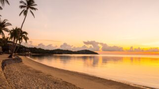 Cidade reúne praias secretas, patrimônio do século XVII e biodiversidade rara