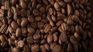 O café do jacu virou uma iguaria