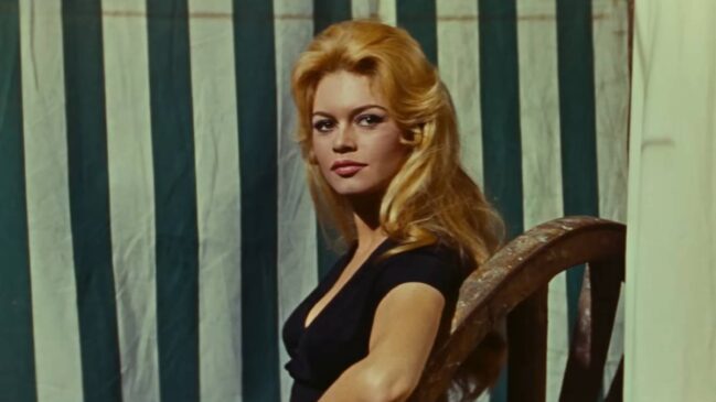 Brigitte Bardot oi pioneira em defender a causa animal