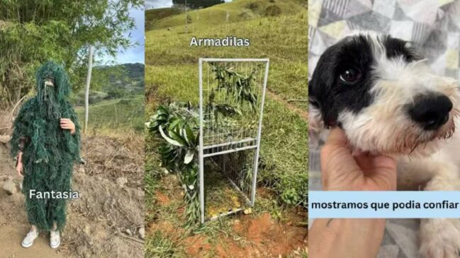 A cadela precisou de semanas para se curar dos traumas vividos