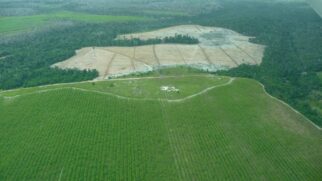 Cultivo agrícola dobrou de área desde 1985 e hoje ocupa um terço da produção no bioma