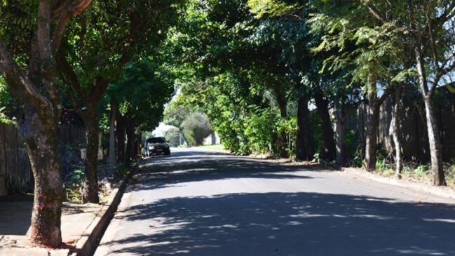 Birigui é o município mais arborizado do Brasil, segundo o IBGE