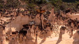 Descoberta foi feita na Serra Geral de Goiás, região próxima à divisa com Tocantins e Bahia