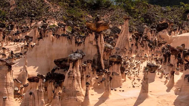 Descoberta foi feita na Serra Geral de Goiás, região próxima à divisa com Tocantins e Bahia