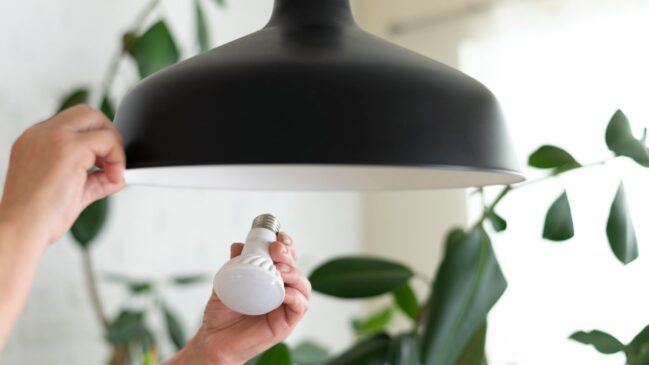 Conheça as cinco opções mais populares para substituir a luz no teto