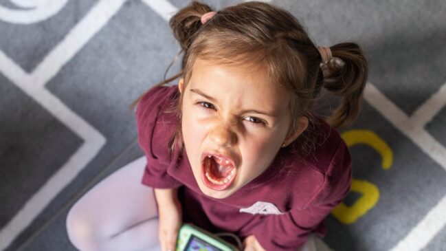 Estudos recentes apontam que não é possível comprovar comportamentos únicos apenas por alguém ser ou não filho único
