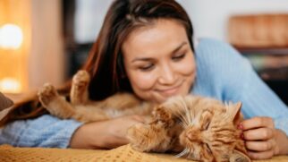O crescimento da população felina no Brasil reflete uma mudança de comportamento dos tutores, que passaram a reconhecer o gato como um companheiro carinhoso e adaptável.