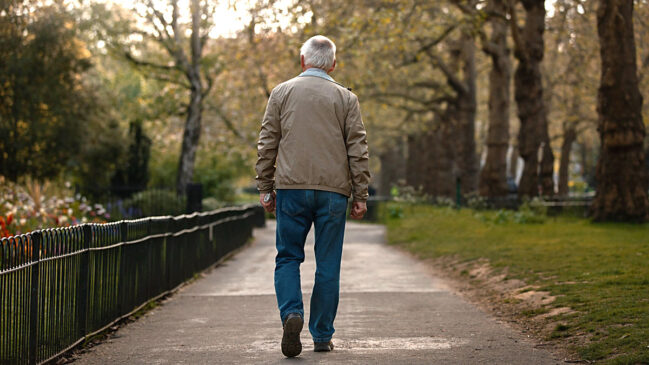 No período de 2000 a 2023, a proporção de pessoas idosas (60 anos ou mais) na população brasileira quase duplicou, subindo de 8,7% para 15,6%