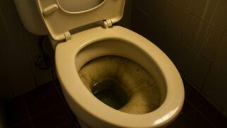 Aprenda a limpar o vaso sanitário de uma vez por todas