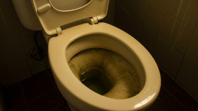 Aprenda a limpar o vaso sanitário de uma vez por todas