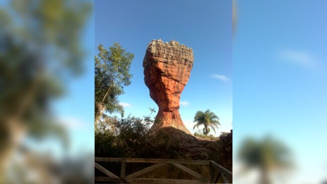 Além das trilhas, o parque oferece atividades de ecoturismo e aventura para todas as idades.
