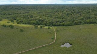 Local é uma das quatro maiores áreas - com mais de 10.000 ha - desse tipo de vegetação no Estado