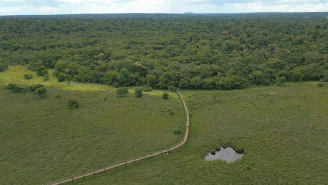 Local é uma das quatro maiores áreas - com mais de 10.000 ha - desse tipo de vegetação no Estado