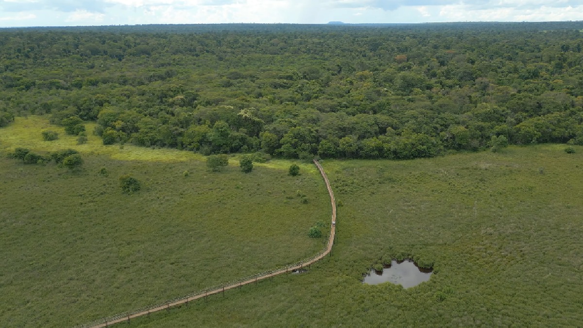 Local é uma das quatro maiores áreas - com mais de 10.000 ha - desse tipo de vegetação no Estado