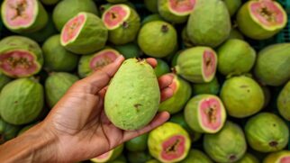A vitamina é riquíssima em vitamina c
