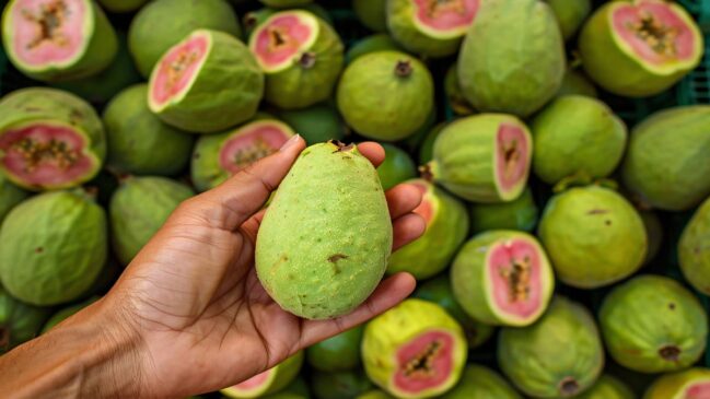 A vitamina é riquíssima em vitamina c
