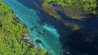 Águas cristalinas do Rio Sucuri oferecem cenário ideal para flutuação guiada