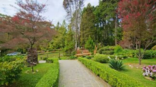 Não é preciso pagar para aproveitar essas paisagens deslumbrantes na cidade