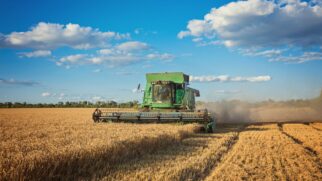 Pesquisa mostra que clima e solo contam mais que economia na hora de garantir segurança alimenta