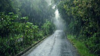 O aroma da chuva nasce do encontro entre gotas e o solo seco, uma reação que libera compostos que nosso nariz identifica na hora