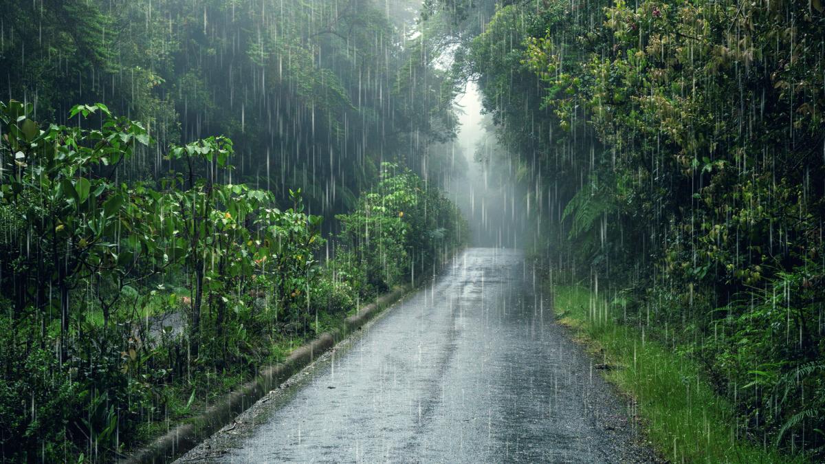 O aroma da chuva nasce do encontro entre gotas e o solo seco, uma reação que libera compostos que nosso nariz identifica na hora