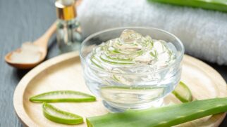 Babosa é aliada natural no cuidado facial e pode trazer efeito rejuvenescedor, segundo especialistas