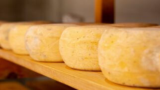 O queijo dessa região é considerado um dos melhores do mundo