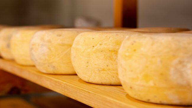 O queijo dessa região é considerado um dos melhores do mundo