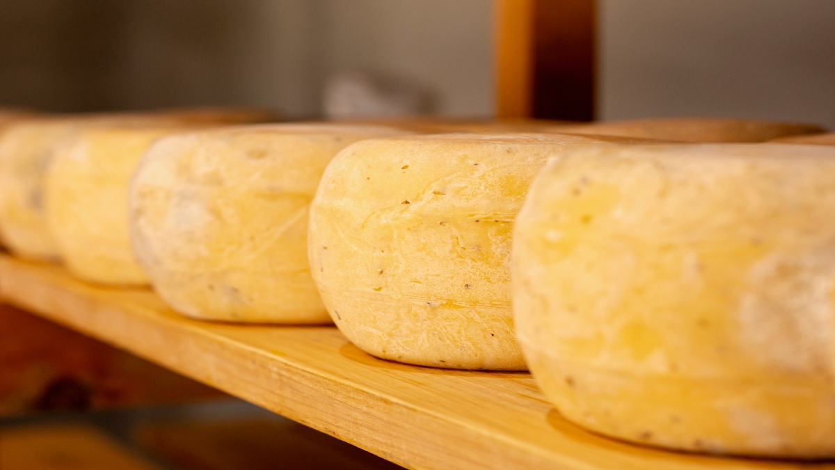 O queijo dessa região é considerado um dos melhores do mundo