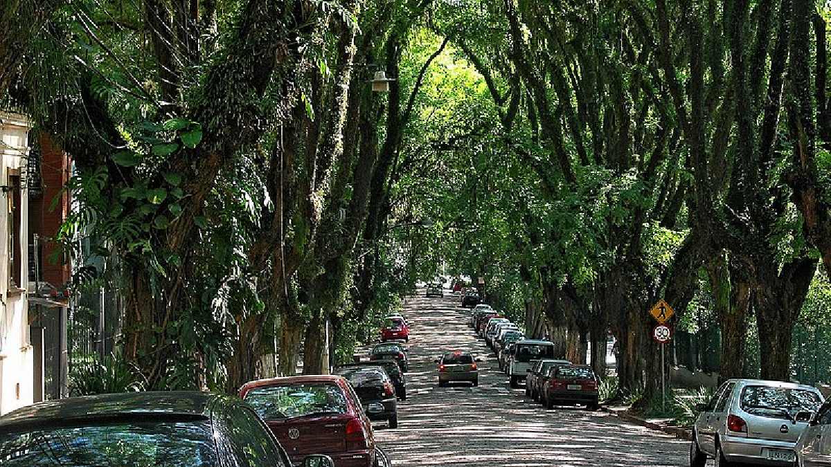 Por muitos considerada a rua mais bonita do mundo.