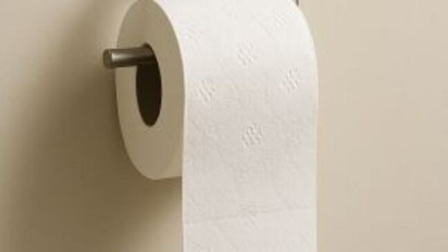 O papel higiênico é um dos itens mais comuns para higienização