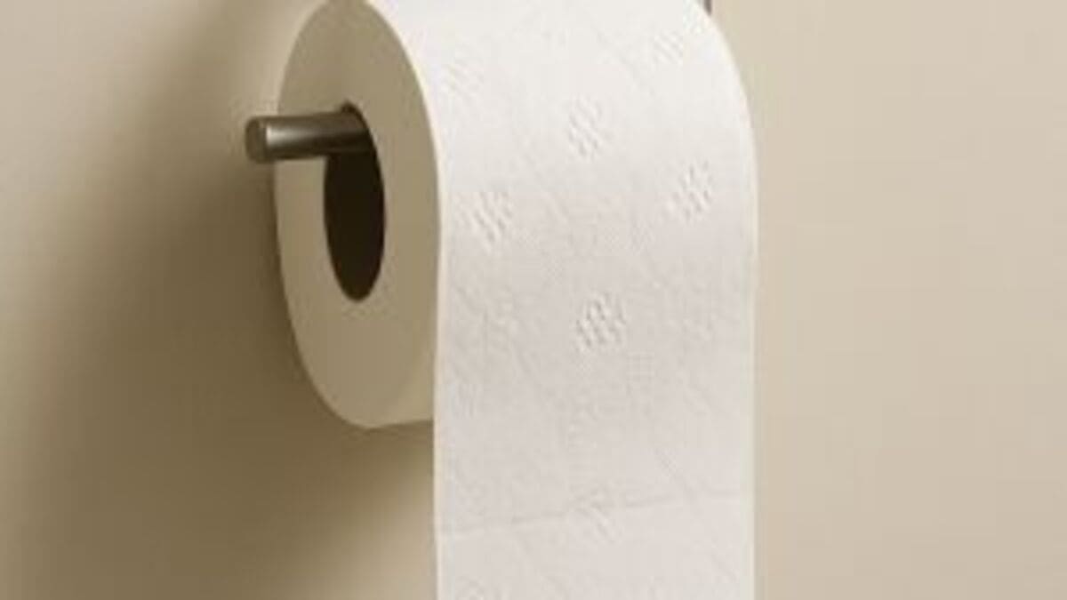 O papel higiênico é um dos itens mais comuns para higienização