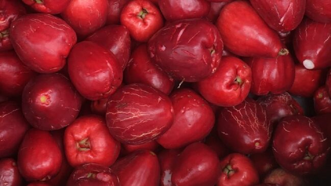 Além de saboroso, o fruto reúne inúmeros nutrientes que contribuem para a saúde
