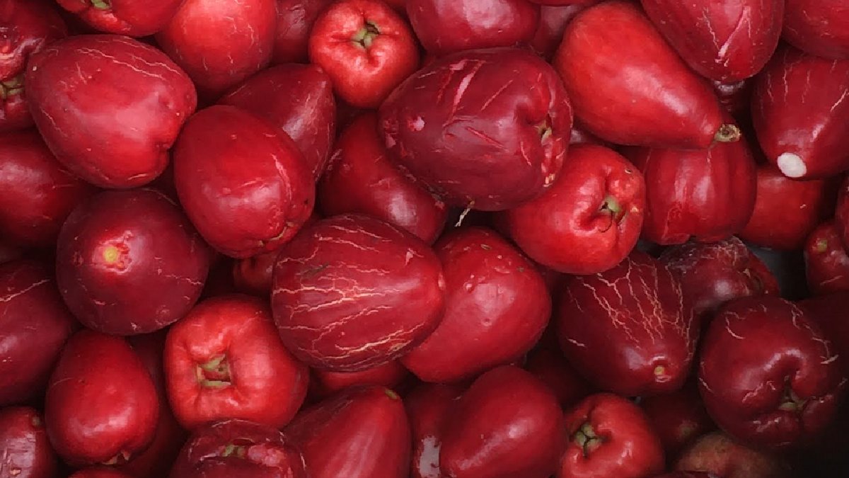 Além de saboroso, o fruto reúne inúmeros nutrientes que contribuem para a saúde