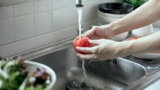 Bactérias como E.coli e Salmonella se escondem em frutas não lavadas
