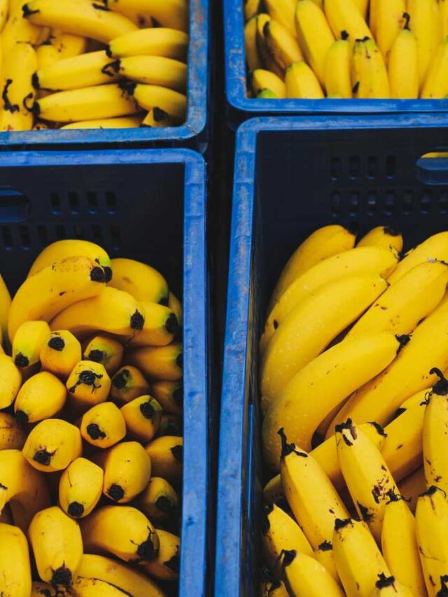 ‘Capital da Banana’ fica a 3h de SP e pertinho da praia
