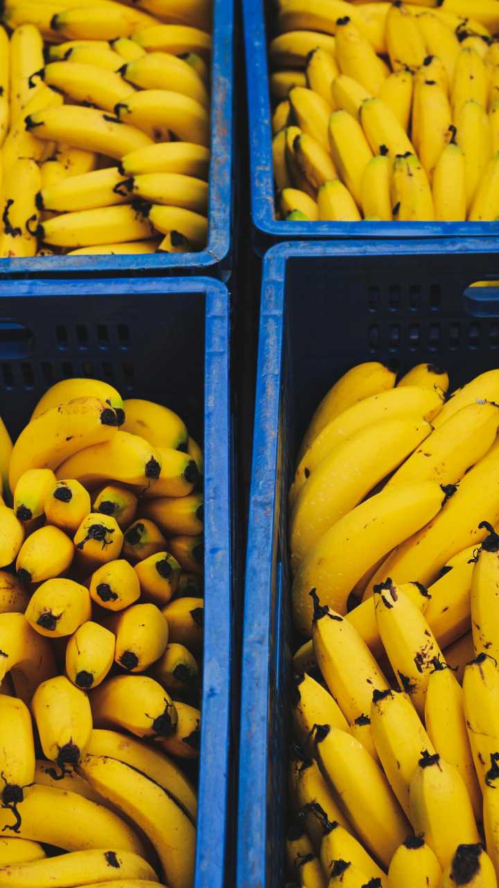 ‘Capital da Banana’ fica a 3h de SP e pertinho da praia