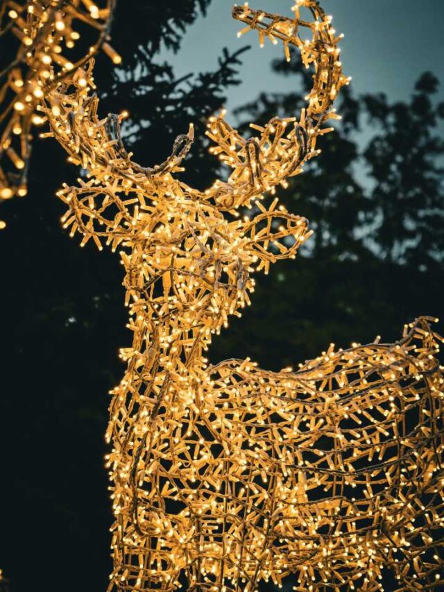 Cidade do interior de SP acende luzes de Natal