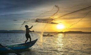 Durante o defeso, a pesca desembarcada é permitida com linha de mão, caniço, molinete ou carretilha, usando iscas naturais ou artificiais
