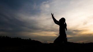 Ao escolher práticas que fortalecem emocional e espiritualmente, é possível atravessar o fim de ano com mais serenidade, consciência e proteção