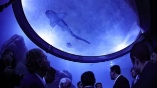 AquaFoz possui o segundo maior tanque oceânico do Brasil, com 2 milhões de litros de água