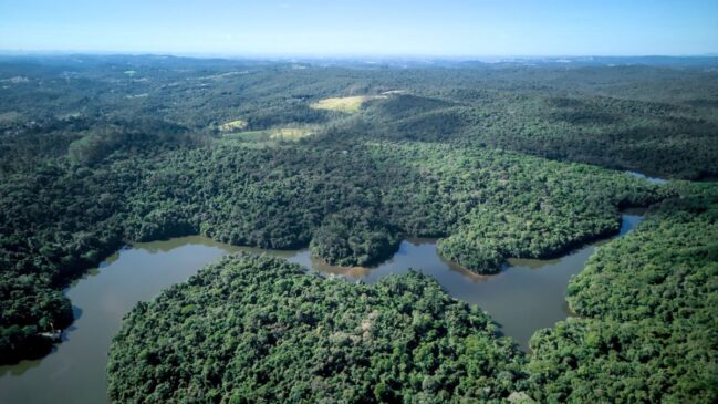 O local protege ainda as nascentes que alimentam o Rio Cotia, garantindo qualidade da água e equilíbrio ambiental.